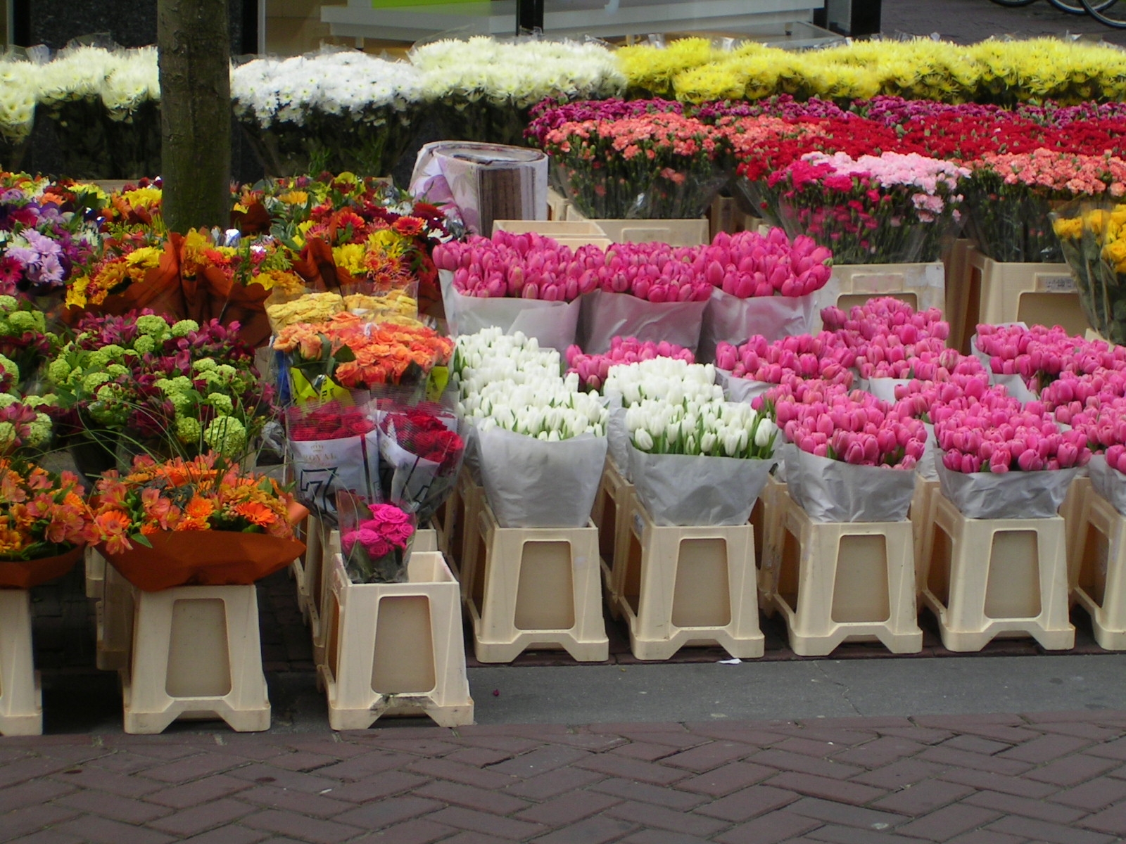 花持ちのいい地物のお花を手に入りやすいもので５種選んでみました 花屋のふーさんブログ