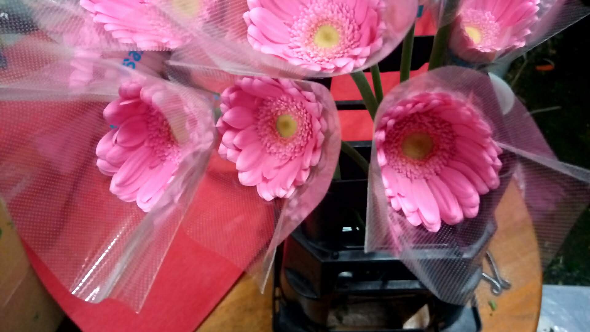 お花の水揚げについてお花屋さんがいろいろ考えてみました 花屋のふーさんブログ