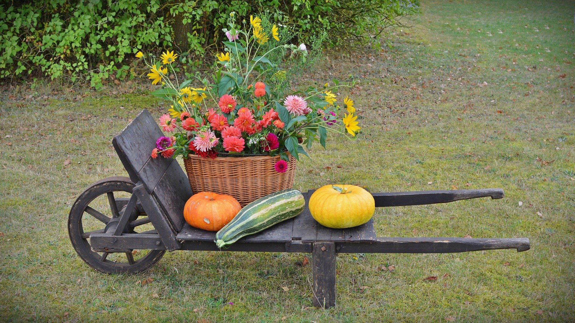 お花屋さんがおすすめする 11月にお部屋に飾りたいお花たち 花屋のふーさんブログ