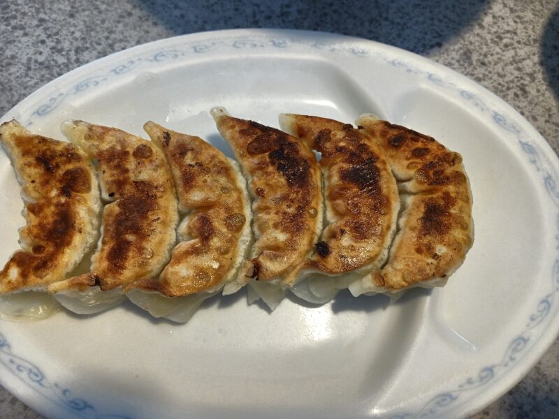 山形市だるまや本店の野菜ギョーザ